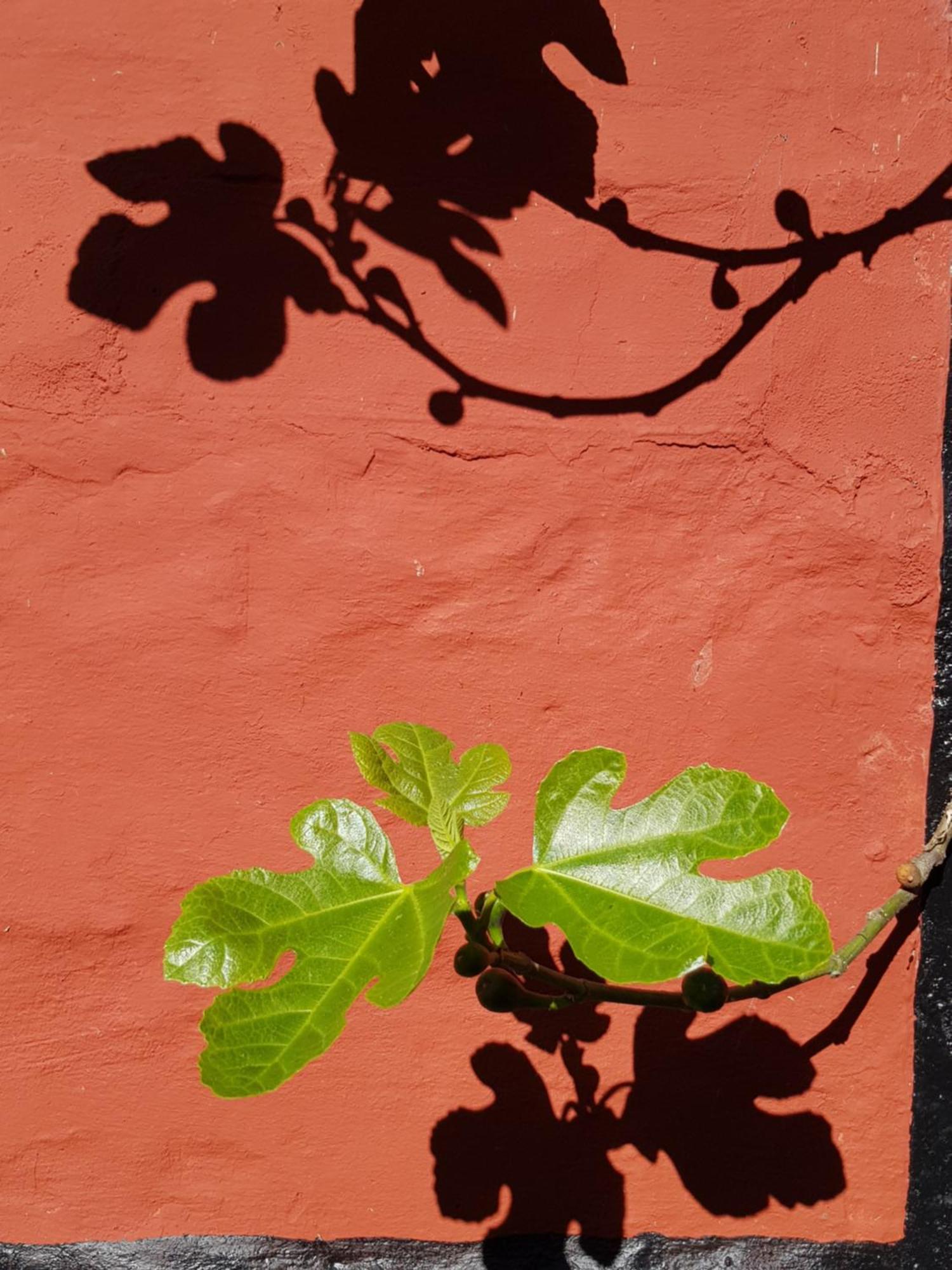Pyttegarden Apartments Gudhjem Luaran gambar
