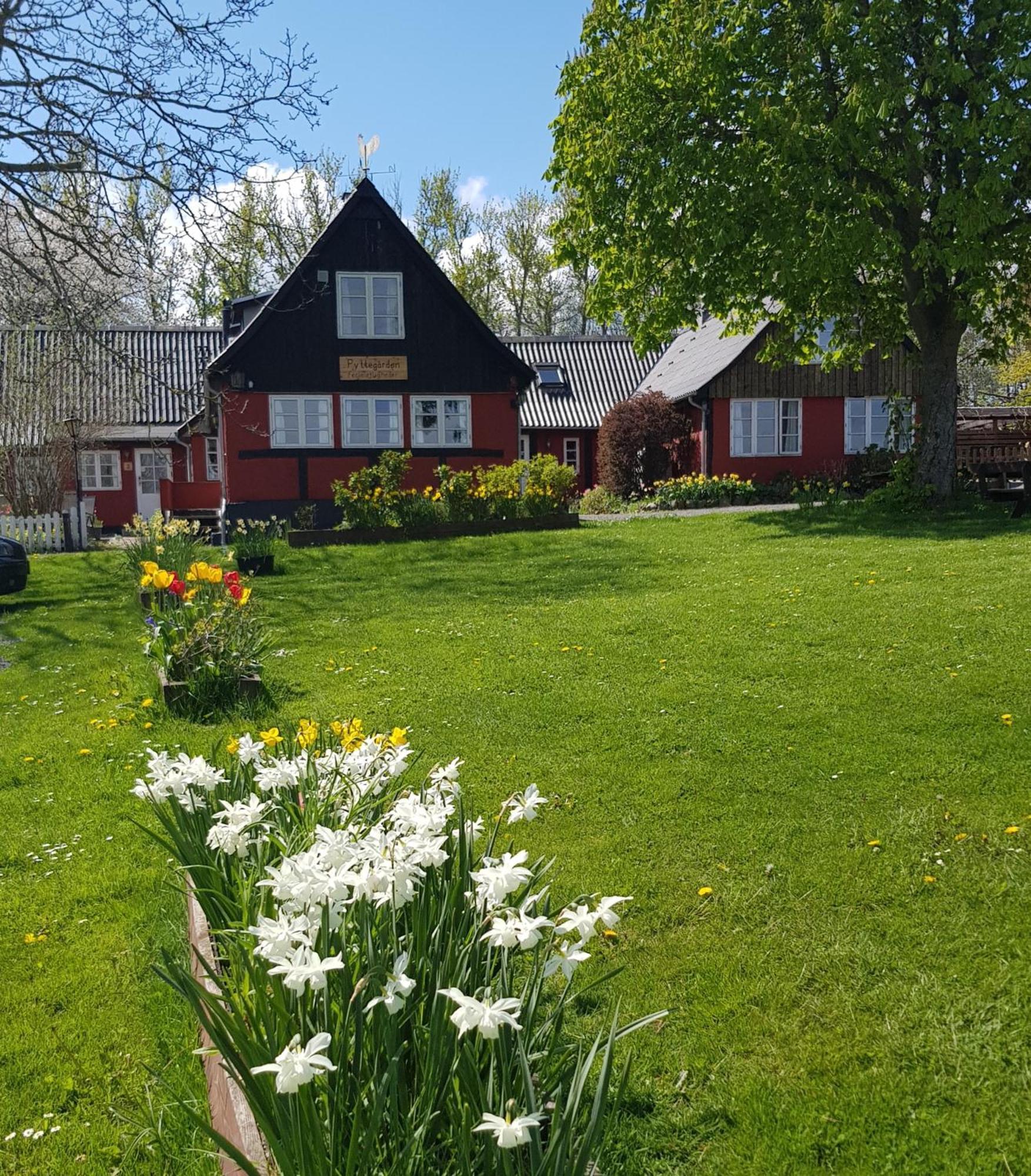 Pyttegarden Apartments Gudhjem Luaran gambar